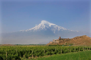 Vins d'Ararat