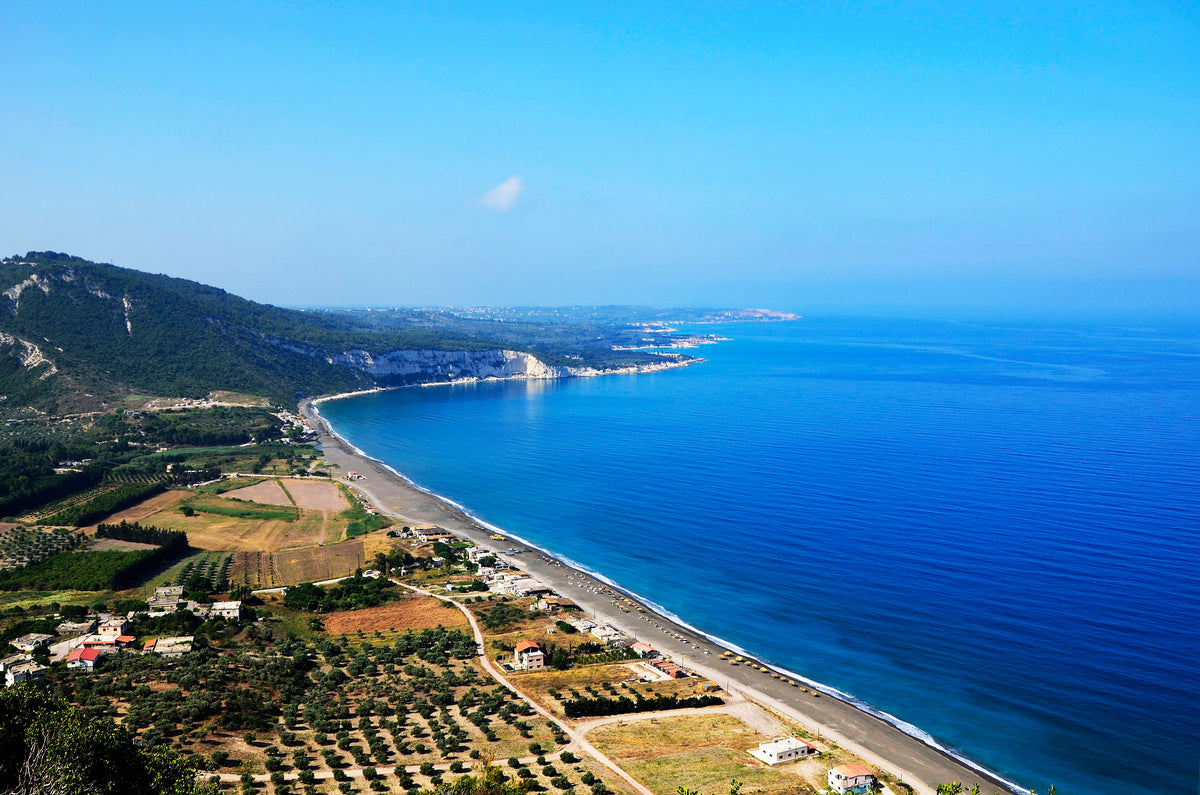 Latakia
