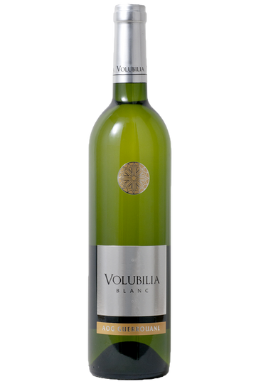 Villa Volubilia - Volubilia White 2024